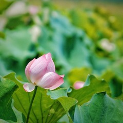 6F648BE4-8860-4CD7-A0ED-5CF955711AB8/L0/001