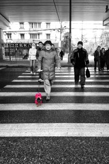 20130108_0952471.jpg