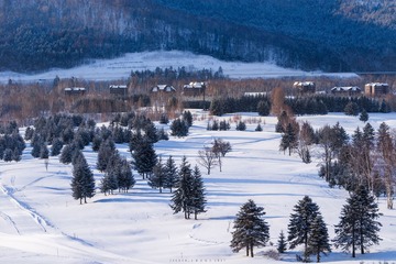 20170307-DSC00882