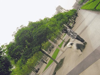 43BD9020-F6B2-47B6-B0A4-98B3F2289F28/L0/001