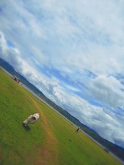 058565E7-FE60-4775-BD24-69D081910D71/L0/001