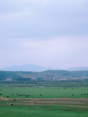 C17351F9-3057-41A2-A5C0-3E702E3F2D67/L0/001