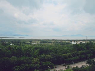 8F92430C-0F08-45AC-8BF7-9CDF45A1EA97/L0/001