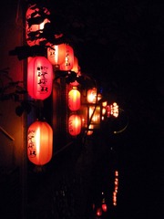 DSCN4870_副本.jpg