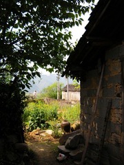 门里的风景