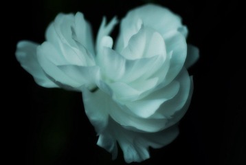 DSC_9185.JPG