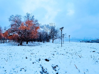 A377B012-4320-414A-8C38-B528A522FA39/L0/001