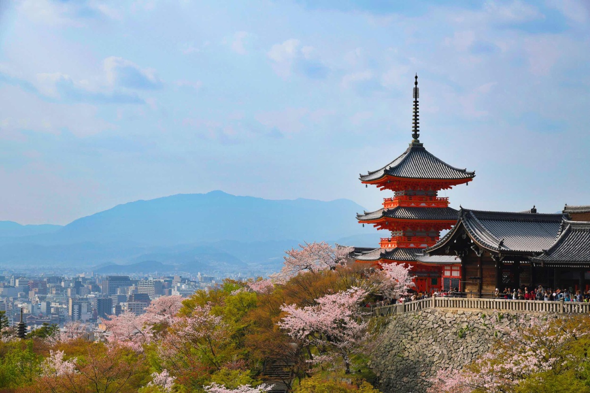清水寺樱花正盛时