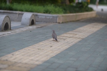 DSC_3886