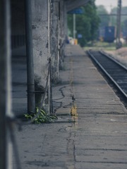 87440
