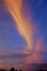 6B2CFF1D-393B-48C8-A833-7311902B9C20/L0/001