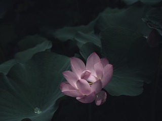 BE4C0C61-E27F-41F0-855F-C1D4D9B8F4F2/L0/001