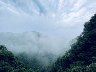 B08D320F-4C06-46AF-BA1C-940FDF9A7887/L0/001