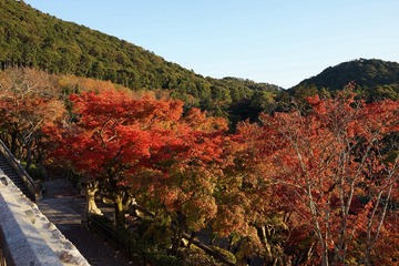 6E059112-1D10-439E-8D36-A71EF379B965/L0/001