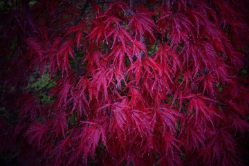 B02F410E-E314-4E79-A624-FC2C28C56193/L0/001