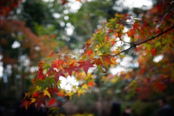 C9899F64-021C-401F-B0C7-1B753D5FD738/L0/001