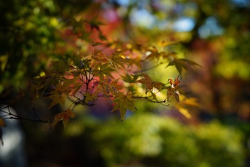 C0B3045B-54B7-4082-925B-1E2B3FF2F107/L0/001