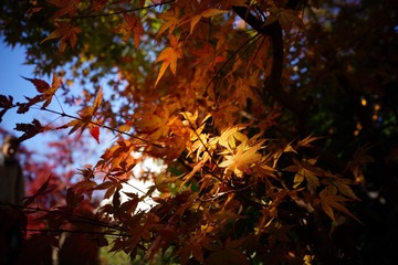 F643EF8B-B785-415F-809E-9CC3A61A0176/L0/001