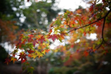 00A630D1-26B0-44B9-A9B1-8BA903A48279/L0/001