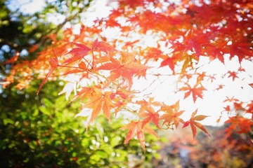 8B05064D-78A6-4988-A3FD-B3B42D157C85/L0/001