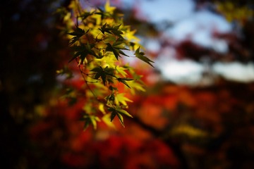 EBD6CF54-0032-4E02-A824-46083E911684/L0/001