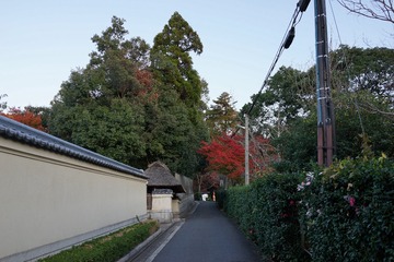 220EFF3A-C010-44C9-B0BA-05A0EF843182/L0/001