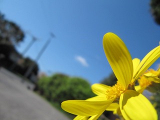 IMG_1504.JPG