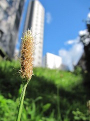 IMG_2309.JPG