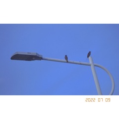 6846B562-949C-437D-B7D5-31A7028409AD/L0/001