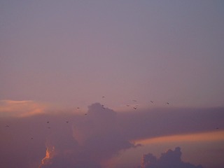 3EFF3E9A-A5B4-4727-857E-A4A9BD94A345/L0/001