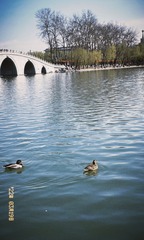 47DC105D-3598-4360-90CB-833CFBE34597/L0/001