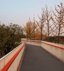 7D5A335F-E556-4AE0-8582-89AB7E7881AF/L0/001