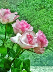 8B8899D8-83C1-4438-87DF-E735F7B55782/L0/001