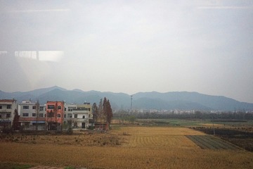 85018