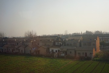 85081