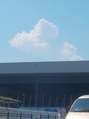 179507