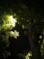 167039