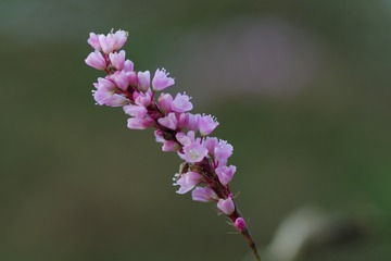 190557