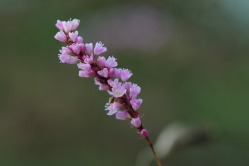 190558