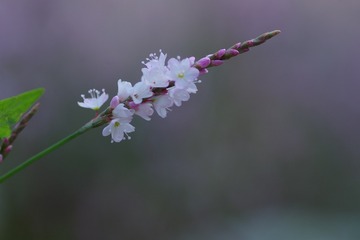 190644