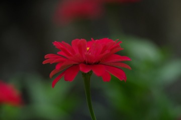 BBE6B9EB-E862-4234-AFBB-50B46161C18A/L0/001