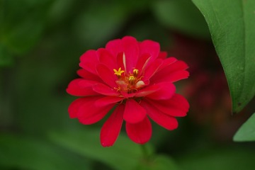 3471767D-E226-463D-815A-2B6F910578A7/L0/001