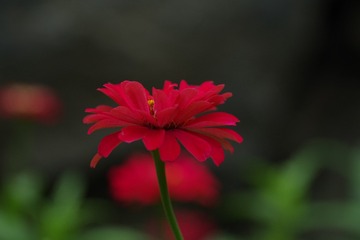 C40F9341-F7FD-4C0C-A0AA-ED1D98F6984E/L0/001