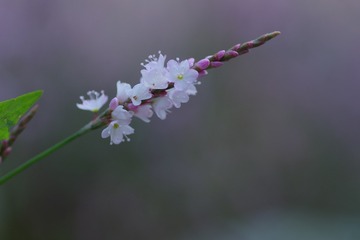 190645