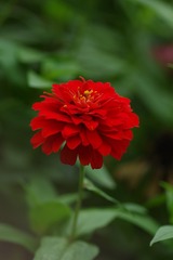 B14BF853-271D-49EA-B674-35833F1285C4/L0/001