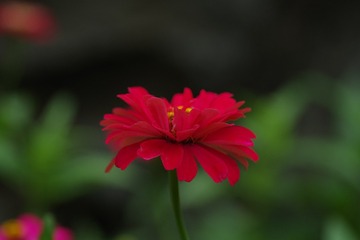 A8174F10-615D-45F7-8D54-65DE1F9DA071/L0/001