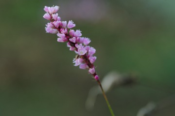 190561
