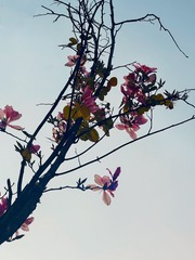 C07D251F-5795-4CD1-9919-50D19CB83535/L0/001