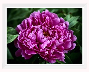 2D579093-356D-4A34-9DD6-1321A3780710/L0/001