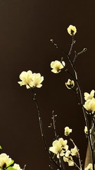 B28AC5D0-EC3A-439F-B0FD-473C6DAB805D/L0/001